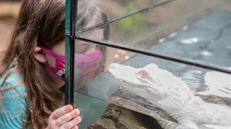 the-reptarian-michigans-favorite-reptile-zoo